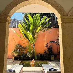 Casa Zarah - Alma Santa Marta (Magdalena)